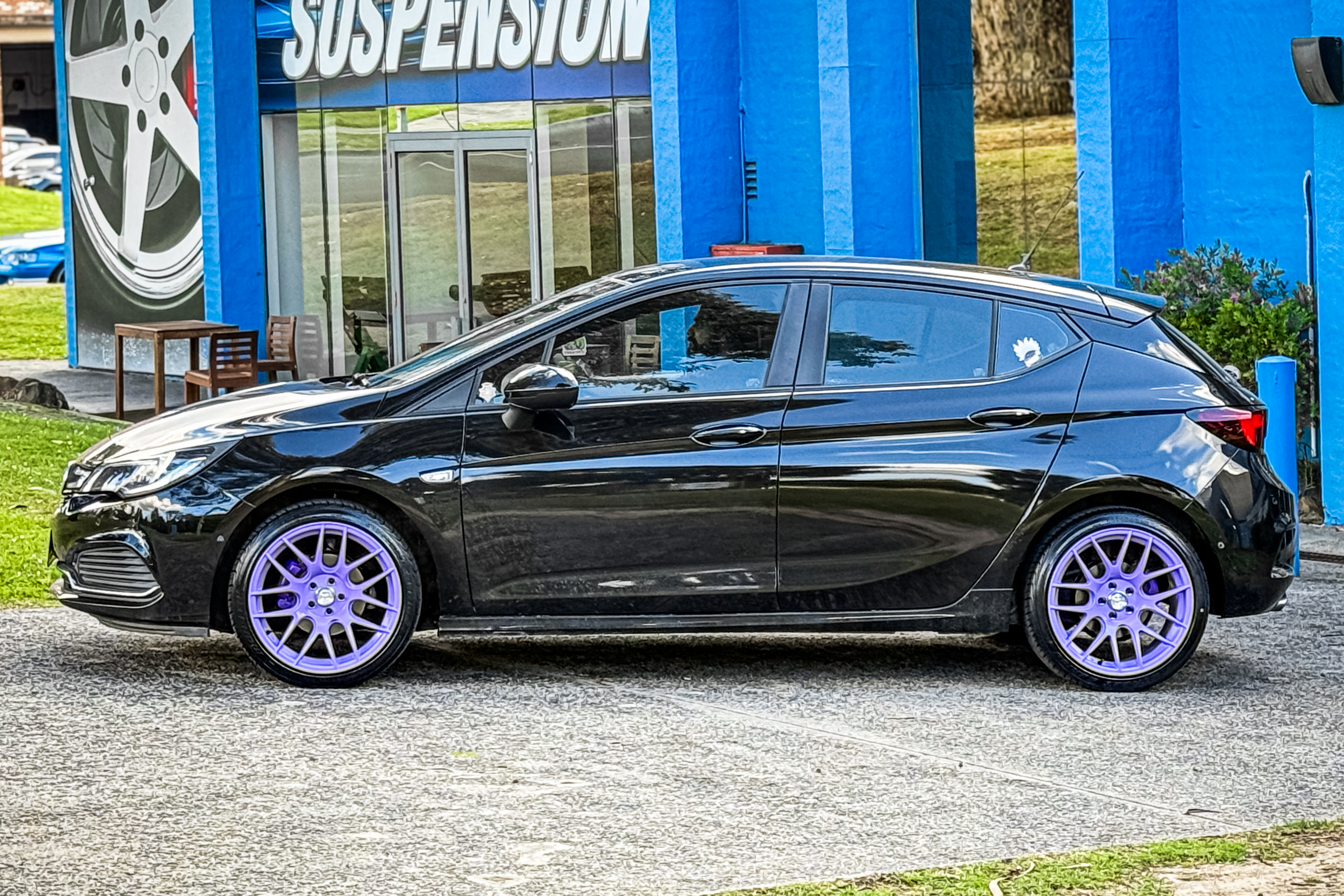 Purple Astra